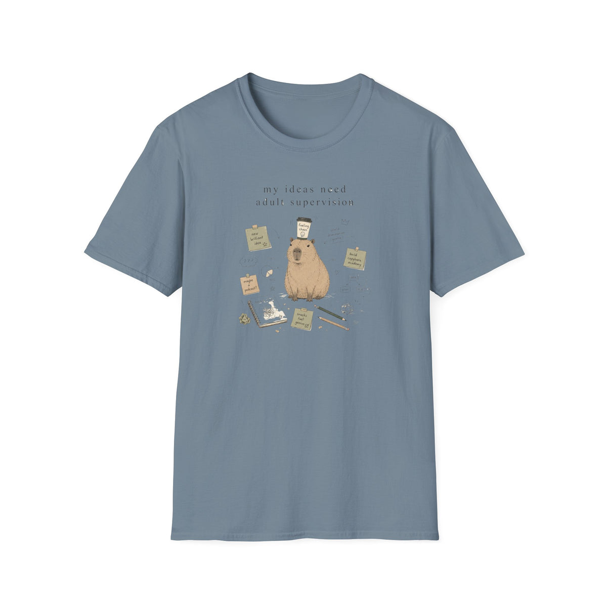 My Ideas Need Adilt Supervision T-Shirt